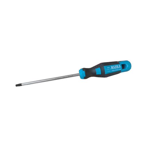Destornillador Profesional Punta Torx T10 0.75mm