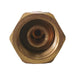 Válvula antirretorno para gas Ref. 88-6CVTL